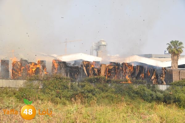 firecartoonsecnd506 (37).JPG